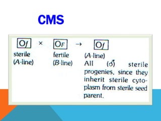 CMS
 