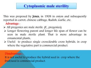 This was proposed by Jones, in 1908 in onion and subsequently
reported in carrot, chinese cabbage, Radish, Garlic, etc.
Advantage:-
 All progenies are male sterile. (F1 progenies)
 Longer flowering parent and longer life span of flower can be
seen in male sterile plant. That is more advantage in
ornamental plants.
 Useful to produce single cross/double cross hybrids, in crop
where the vegetative part is commercial product.
Cytoplasmic male sterility
Disadvantage:-
It is not useful to produce the hybrid seed in crop where the
fruit/seed is commercial product.
 