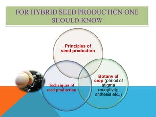 FOR HYBRID SEED PRODUCTION ONE
SHOULD KNOW
Principles of
seed production
Botany of
crop (period of
stigma
receptivity,
anthesis etc.,)
Techniques of
seed production
 