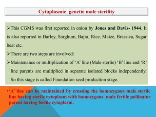 This CGMS was first reported in onion by Jones and Davis- 1944. It
is also reported in Barley, Sorghum, Bajra, Rice, Maize, Brassica, Sugar
beat etc.
There are two steps are involved:
Maintenance or multiplication of ‘A’ line (Male sterlie) ‘B’ line and ‘R’
line parents are multiplied in separate isolated blocks independently.
So this stage is called Foundation seed production stage.
Cytoplasmic genetic male sterility
•‘A’ line can be maintained by crossing the homozygous male sterile
line having sterile cytoplasm with homozygous male fertile pollinator
parent having fertile cytoplasm.
 