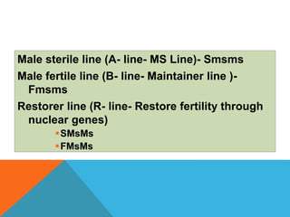 Male sterile line (A- line- MS Line)- Smsms
Male fertile line (B- line- Maintainer line )-
Fmsms
Restorer line (R- line- Restore fertility through
nuclear genes)
SMsMs
FMsMs
 
