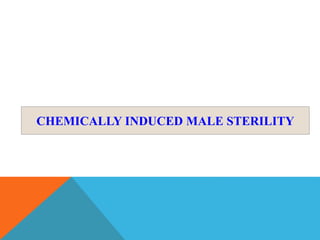 CHEMICALLY INDUCED MALE STERILITY
 
