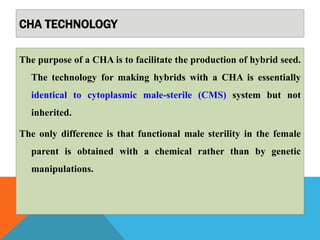 CHA TECHNOLOGY
The purpose of a CHA is to facilitate the production of hybrid seed.
The technology for making hybrids with a CHA is essentially
identical to cytoplasmic male-sterile (CMS) system but not
inherited.
The only difference is that functional male sterility in the female
parent is obtained with a chemical rather than by genetic
manipulations.
 