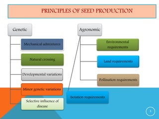 PRINCIPLES OF SEED PRODUCTION
Genetic
Mechanical admixtures
Natural crossing
Developmental variations
Minor genetic variations
Selective influence of
disease
Agronomic
Environmental
requirements
Land requirements
Pollination requirements
Isolation requirements
3
 