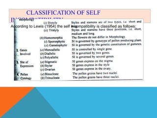 CLASSIFICATION OF SELF
INCOMPATIBILITY
According to Lewis (1954) the self incompatibility is classified as follows:
 