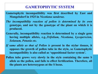 GAMETOPHYTIC SYSTEM
Gametophytic incompatibility was first described by East and
Mangelsdorf in 1925 in Nicotiana sanderae.
The incompatibility reaction of pollen is determined by its own
genotype, and not by the genotype of the plant on which it is
produced.
Generally, incompatibility reaction is determined by a single gene
having multiple alleles, e.g.,Trifolium, Nicotiana, Lycoperscion,
Solanum, Petunia etc.
If same allele as that of Pollen is present in the stylar tissues, it
opposes the growth of pollen tube in the style, so Gametophytic
incompatibility is also called as ‘oppositional factor system’.
Pollen tube grows very slowly in the style containing the same S
allele as the pollen, and fails to effect fertilization. Therefore, all
the plants are heterozygous at the S locus.
 