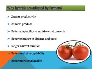 Greater productivity
Uniform produce
Better adaptability to variable environments
Better tolerance to diseases and pests
Longer harvest duration
Better market acceptability
Better nutritional quality
 