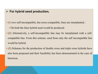  For hybrid seed production,
(1) two self-incompatible, but cross-compatible, lines are interplanted ;
On both the lines hybrid seed would be produced.
(2) Alternatively, a self-incompatible line may be interplanted with a self-
compatible line. From this scheme, seed from only the self incompatible line
would be hybrid.
(3) Schemes for the production of double cross and triple cross hybrids have
also been proposed and their feasibility has been demonstrated in the case of
brassicas.
 