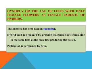 GYNOECY OR THE USE OF LINES WITH ONLY
FEMALE FLOWERS AS FEMALE PARENTS OF
HYBRIDS.
This method has been used in cucumber.
Hybrid seed is produced by growing the gynoecious female line
in the same field as the male line producing the pollen.
Pollination is performed by bees.
 