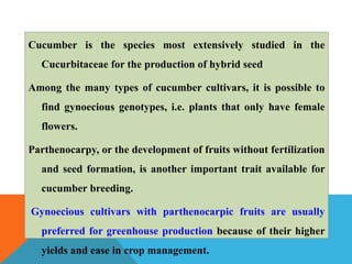 Cucumber is the species most extensively studied in the
Cucurbitaceae for the production of hybrid seed
Among the many types of cucumber cultivars, it is possible to
find gynoecious genotypes, i.e. plants that only have female
flowers.
Parthenocarpy, or the development of fruits without fertilization
and seed formation, is another important trait available for
cucumber breeding.
Gynoecious cultivars with parthenocarpic fruits are usually
preferred for greenhouse production because of their higher
yields and ease in crop management.
 