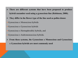  There are different systems that have been proposed to produce
hybrid cucumber seed using a gynoecious line (Robinson, 2000).
 They differ in the flower type of the line used as pollen donor.
Gynoecious x Monoecious hybrids
Gynoecious x Gynoecious hybrids
Gynoecious x Hermaphroditic hybrids, and
Gynoecious x Andromonoecious hybrids.
 From these systems, the Gynoecious x Monoecious and Gynoecious
x Gynoecious hybrids are most commonly used
 