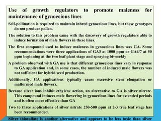 Use of growth regulators to promote maleness for
maintenance of gynoecious lines
Self-pollination is required to maintain inbred gynoecious lines, but these genotypes
do not produce pollen.
The solution to this problem came with the discovery of growth regulators able to
induce formation of male flowers in these lines.
The first compound used to induce maleness in gynoecious lines was GA. Some
recommendations were three applications of GA3 at 1000 ppm or GA4/7 at 50
ppm beginning at the two leaf plant stage and spraying bi-weekly
A problem observed with GA use is that different gynoecious lines vary in response
to GA application and, in some cases, the number of induced male flowers was
not sufficient for hybrid seed production.
Additionally, GA applications typically cause excessive stem elongation or
malformed male flowers.
Because silver ions inhibit ethylene action, an alternative to GA is silver nitrate.
This compound induces male flowering in gynoecious lines for extended periods
and is often more effective than GA
Two to three applications of silver nitrate 250-500 ppm at 2-3 true leaf stage has
been recommended.
Silver thiosulfate is another alternative and appears to be less toxic than silver
 