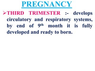 Human Placenta Birth Lactation | PDF