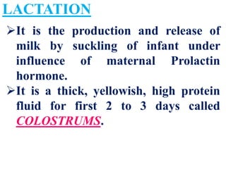 Human Placenta Birth Lactation | PDF