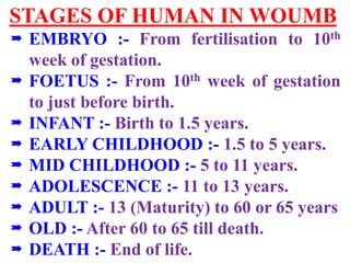 Human Placenta Birth Lactation | PDF