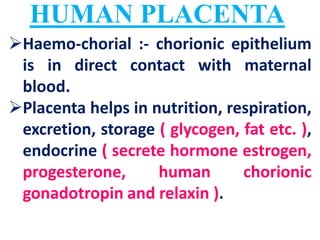 Human Placenta Birth Lactation | PDF