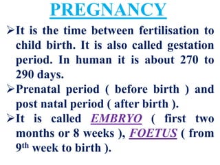 Human Placenta Birth Lactation | PDF