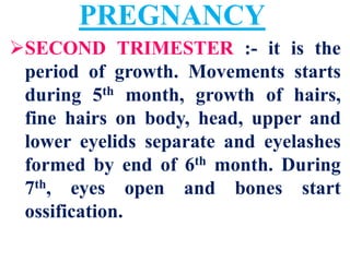 Human Placenta Birth Lactation | PDF