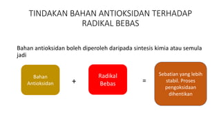 Antioksidan: Senyawa Kimia yang Melawan Radikal Bebas