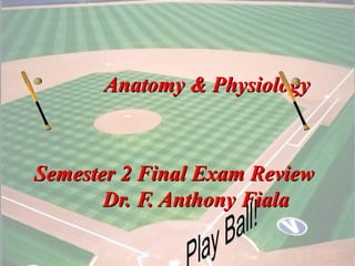1
Anatomy & PhysiologyAnatomy & Physiology
Semester 2 Final Exam ReviewSemester 2 Final Exam Review
Dr. F. Anthony FialaDr. F. Anthony Fiala
 