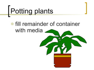 Potting plants fill remainder of container with media 