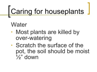 Caring for houseplants Water Most plants are killed by over-watering Scratch the surface of the pot, the soil should be moist ½” down 