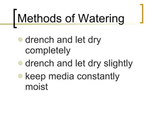 Methods of Watering drench and let dry completely drench and let dry slightly keep media constantly moist 