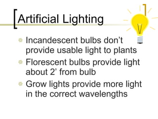 Artificial Lighting Incandescent bulbs don’t provide usable light to plants Florescent bulbs provide light about 2’ from bulb Grow lights provide more light in the correct wavelengths 