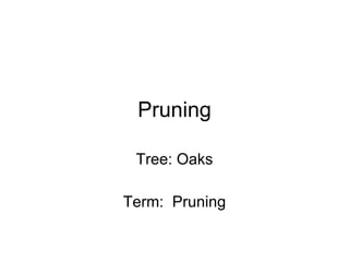 Pruning Tree: Oaks Term:  Pruning 