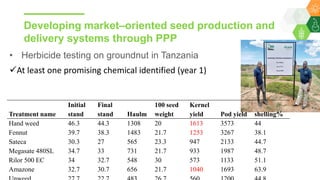 Research Program Genetic Gains (RPGG) Review Meeting 2021: Building sustainable seed systems in Eastern Africa (Achievements, challenges & opportunities) By Dr Essegbemon Akpo