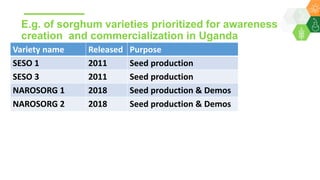Research Program Genetic Gains (RPGG) Review Meeting 2021: Building sustainable seed systems in Eastern Africa (Achievements, challenges & opportunities) By Dr Essegbemon Akpo