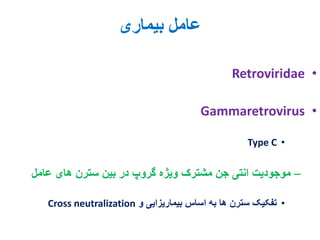 10. reticuloendotheliosis