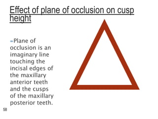 Effect of plane of occlusion on cusp
height
Plane of
occlusion is an
imaginary line
touching the
incisal edges of
the maxillary
anterior teeth
and the cusps
of the maxillary
posterior teeth.
58
 
