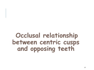 Occlusal relationship
between centric cusps
and opposing teeth
67
 