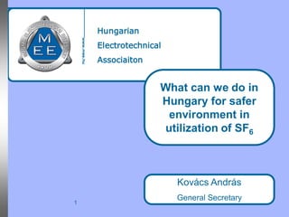 Hungarian
    Electrotechnical
    Associaiton


                   What can we do in
                   Hungary for safer
                    environment in
                   utilization of SF6



                       Kovács András
                       General Secretary
1
 