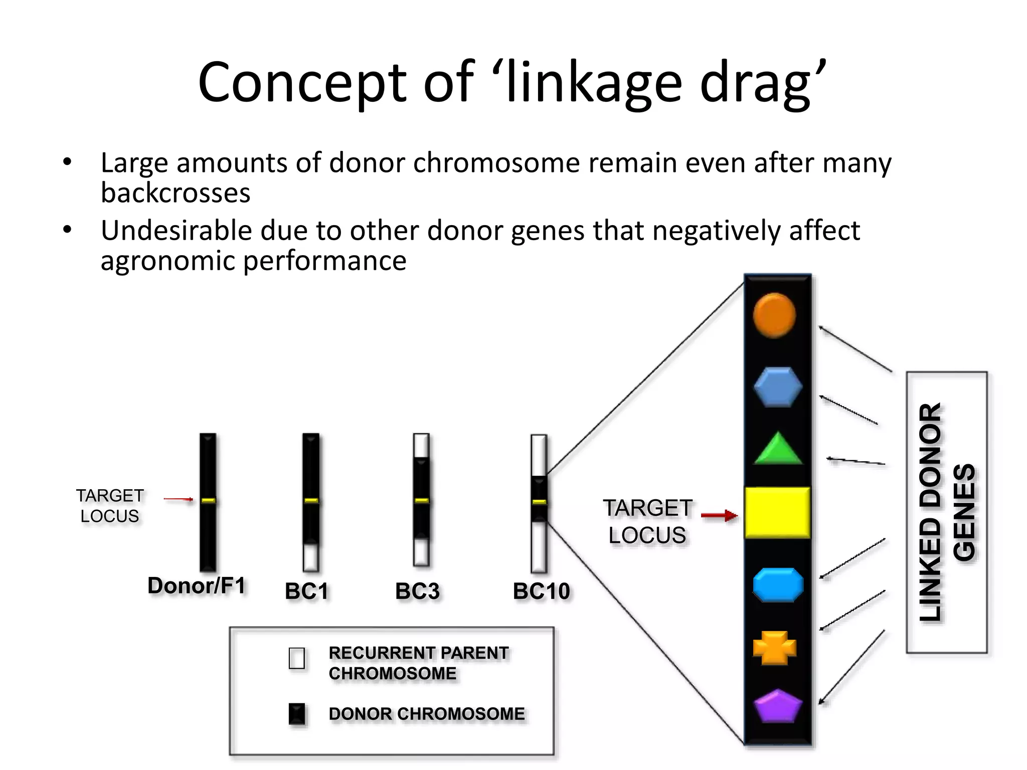 Backcross Breeding Method | PPTX