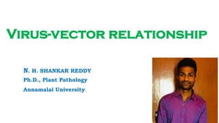 Virus-vector relationship
N. H. SHANKAR REDDY
Ph.D., Plant Pathology
Annamalai University
 