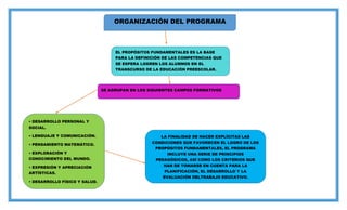 ORGANIZACIÓN DEL PROGRAMA
EL PROPÓSITOS FUNDAMENTALES ES LA BASE
PARA LA DEFINICIÓN DE LAS COMPETENCIAS QUE
SE ESPERA LOGREN LOS ALUMNOS EN EL
TRANSCURSO DE LA EDUCACIÓN PREESCOLAR.
SE AGRUPAN EN LOS SIGUIENTES CAMPOS FORMATIVOS
• DESARROLLO PERSONAL Y
SOCIAL.
• LENGUAJE Y COMUNICACIÓN.
• PENSAMIENTO MATEMÁTICO.
• EXPLORACIÓN Y
CONOCIMIENTO DEL MUNDO.
• EXPRESIÓN Y APRECIACIÓN
ARTÍSTICAS.
• DESARROLLO FÍSICO Y SALUD.
LA FINALIDAD DE HACER EXPLÍCITAS LAS
CONDICIONES QUE FAVORECEN EL LOGRO DE LOS
PROPÓSITOS FUNDAMENTALES, EL PROGRAMA
INCLUYE UNA SERIE DE PRINCIPIOS
PEDAGÓGICOS, ASÍ COMO LOS CRITERIOS QUE
HAN DE TOMARSE EN CUENTA PARA LA
PLANIFICACIÓN, EL DESARROLLO Y LA
EVALUACIÓN DELTRABAJO EDUCATIVO.
 