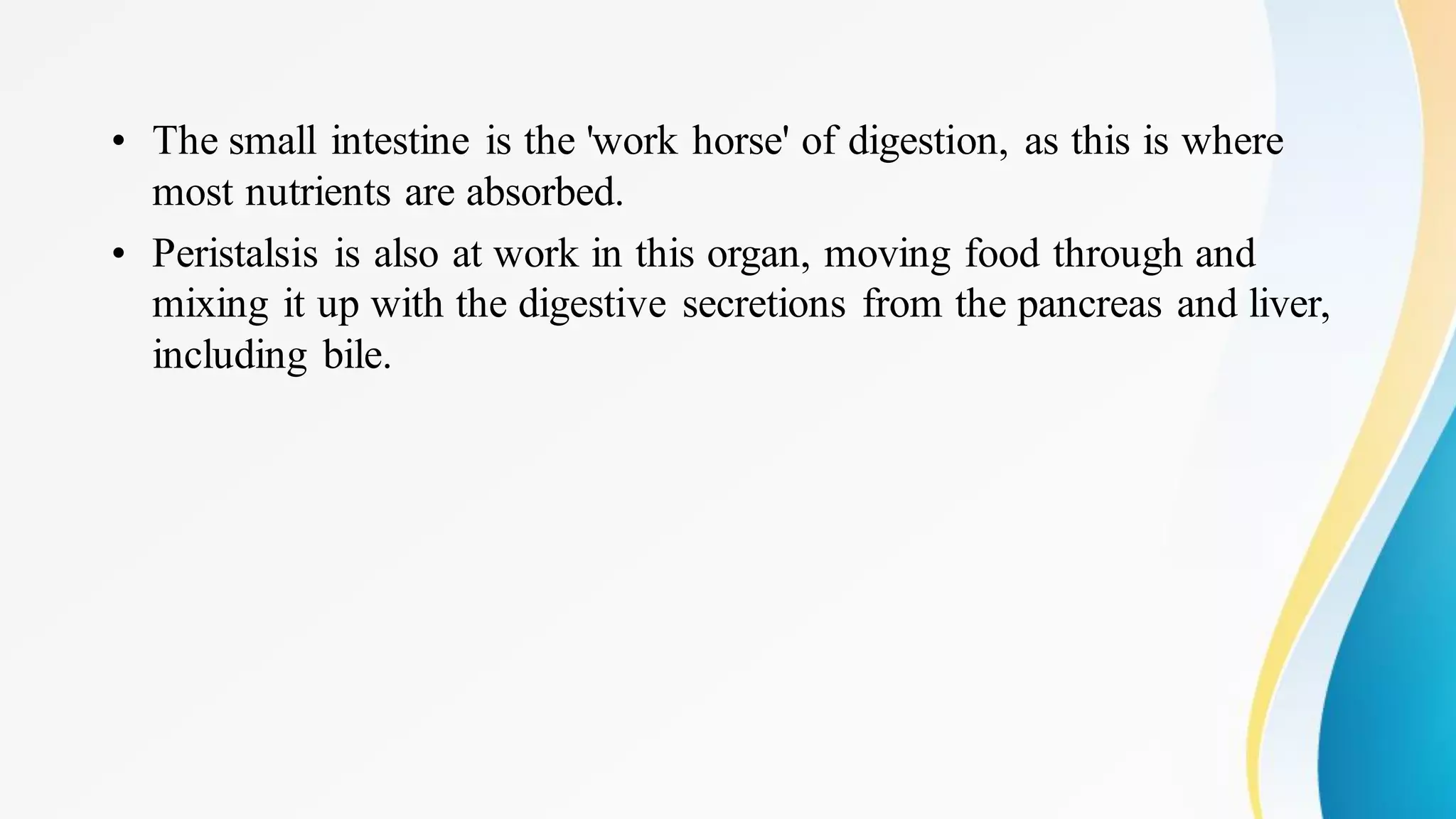 • The small intestine is the 'work horse' of digestion, as this is where
most nutrients are absorbed.
• Peristalsis is also at work in this organ, moving food through and
mixing it up with the digestive secretions from the pancreas and liver,
including bile.
 
