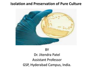 Isolation and Preservation of Pure Culture
BY
Dr. Jitendra Patel
Assistant Professor
GSP, Hyderabad Campus, India.
 