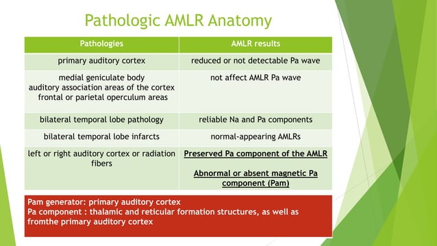 Auditory Middle Latency Response (AMLR) | PPTX
