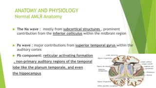ANATOMY AND PHYSIOLOGY
Normal AMLR Anatomy
 The Na wave : mostly from subcortical structures , prominent
contribution from the inferior colliculus within the midbrain region
 Pa wave : major contributions from superior temporal gyrus within the
auditory cortex
 Pb component: reticular activating formation
, non-primary auditory regions of the temporal
lobe like the planum temporale, and even
the hippocampus
 