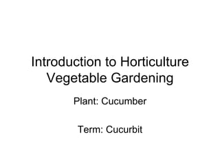 Introduction to Horticulture Vegetable Gardening Plant: Cucumber Term: Cucurbit 