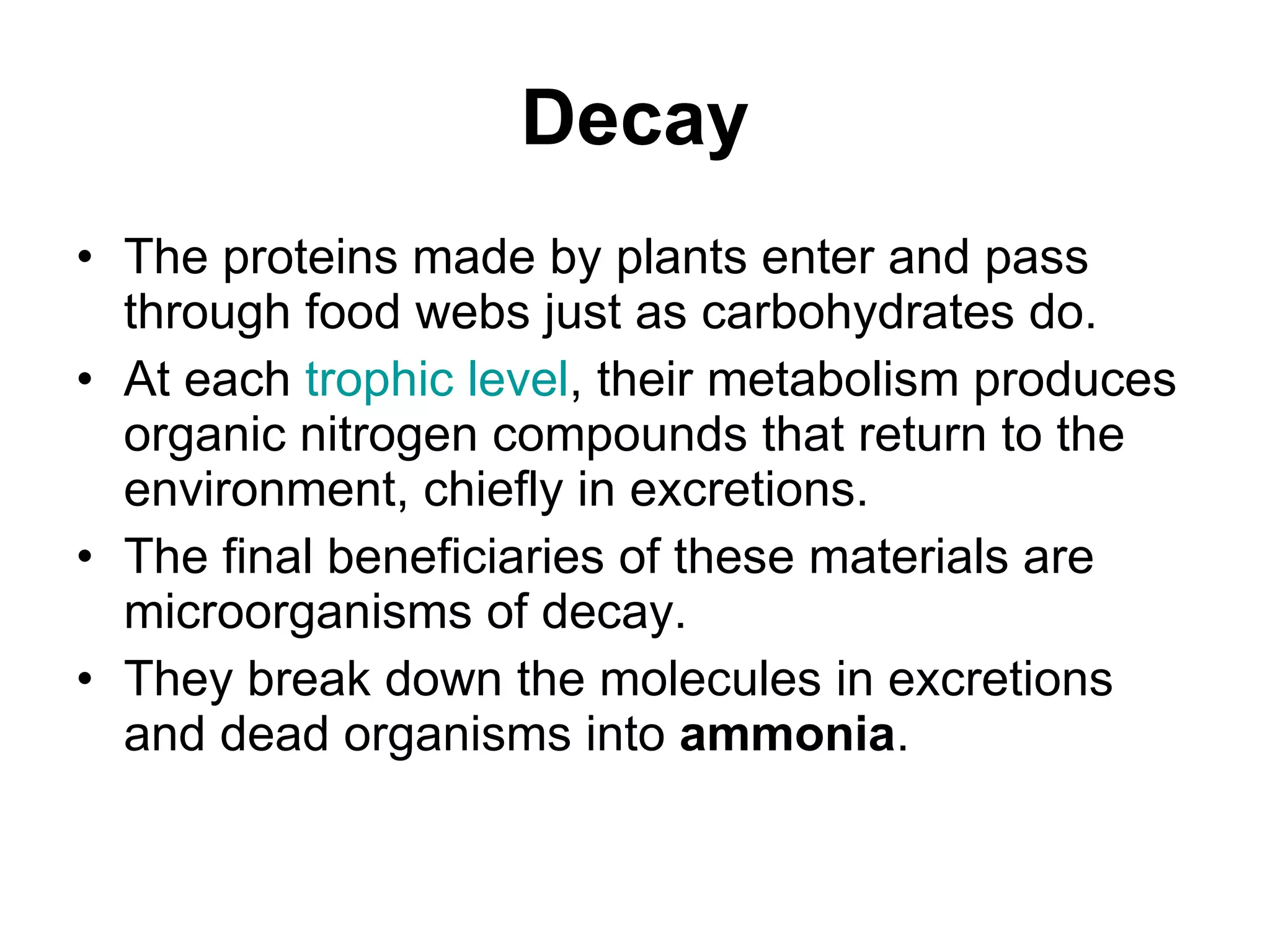 Decay The proteins made by plants enter and pass through food webs just as carbohydrates do.  At each  trophic  level , their metabolism produces organic nitrogen compounds that return to the environment, chiefly in excretions.  The final beneficiaries of these materials are microorganisms of decay.  They break down the molecules in excretions and dead organisms into  ammonia .  