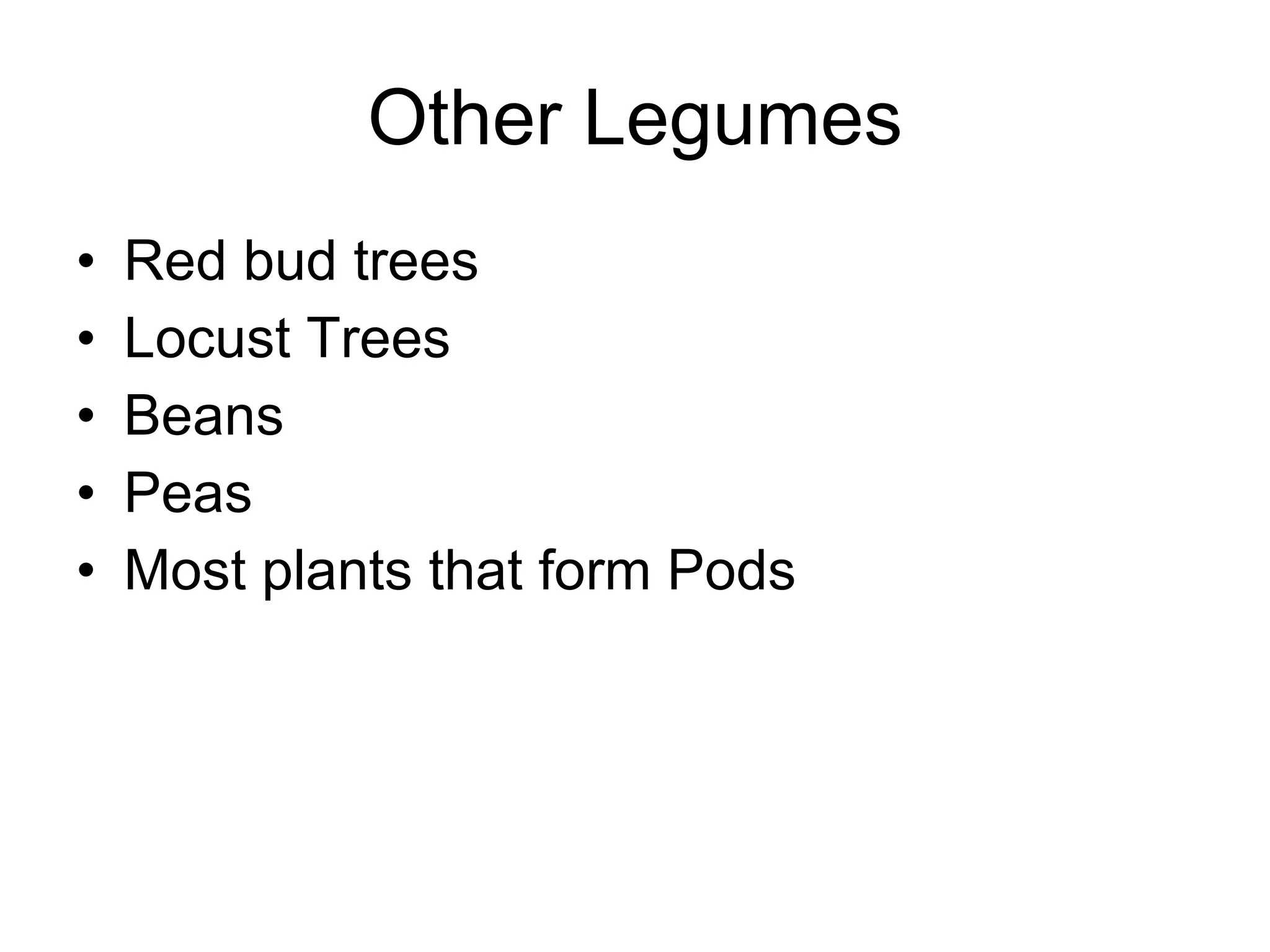 Other Legumes Red bud trees Locust Trees Beans Peas Most plants that form Pods 