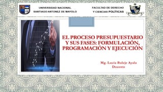 EL PROCESO PRESUPUESTARIO
Y SUS FASES: FORMULACIÓN,
PROGRAMACIÓN Y EJECUCIÓN
Mg. Lucía Buleje Ayala
Docente
 