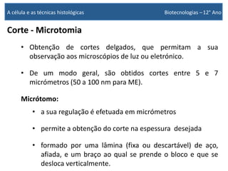 Corte - Microtomia
• Obtenção de cortes delgados, que permitam a sua
observação aos microscópios de luz ou eletrónico.
• De um modo geral, são obtidos cortes entre 5 e 7
micrómetros (50 a 100 nm para ME).
Micrótomo:
• a sua regulação é efetuada em micrómetros
• permite a obtenção do corte na espessura desejada
• formado por uma lâmina (fixa ou descartável) de aço,
afiada, e um braço ao qual se prende o bloco e que se
desloca verticalmente.
A célula e as técnicas histológicas Biotecnologias –12° Ano
 