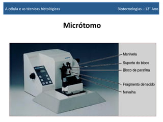 Micrótomo
A célula e as técnicas histológicas Biotecnologias –12° Ano
 