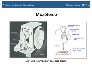 Micrótomo
Micrótomo (tipo “rotativo”) e operação de corte
A célula e as técnicas histológicas Biotecnologias –12° Ano
 