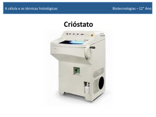 Crióstato
A célula e as técnicas histológicas Biotecnologias –12° Ano
 